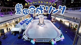 豊田合成リンク　土日祝　中学生以上