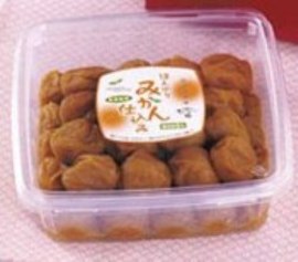 みかん仕込み　ポリ容器　700ｇ