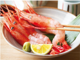 刺身甘エビ　250ｇ