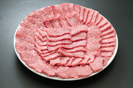 飛騨牛モモ・カタ　焼肉・ＢＢＱ用　５００ｇ