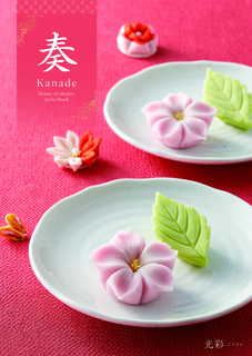 奏フリーチョイスギフト　光彩（こうさい）