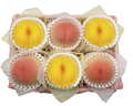 とよたの桃味比べ