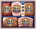 丸大食品　煌彩ＭＶ−４９５