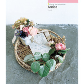 アルニカ（90105）