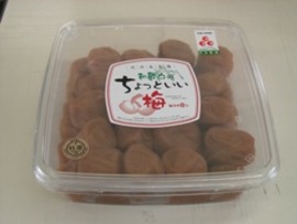 和歌山のちょっといい梅　うす塩味梅　ポリ容器入　700g