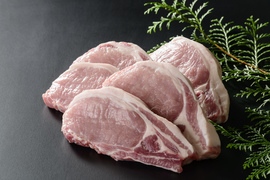 飛騨旨豚テキカツ用セット